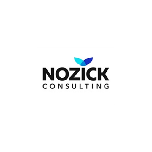 Nozick Consulting Toine Manders